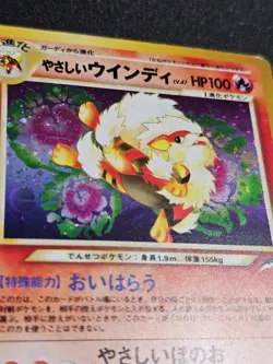 Light Arcanine No. 059 Holo Darkness and to Light Japanese Neo Destiny Pokemon - Image 3
