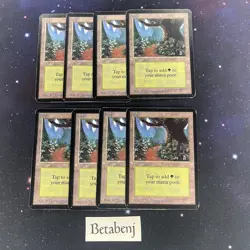 1x MTG Alpha Forest Version A from Estate Collection - Image 1