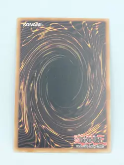 YUGIOH! DARK PALADIN-COMMON-1ST EDITION-YGLD-ENC41 - Image 2