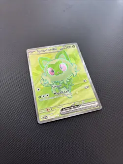 Pokemon TCG Sprigatito EX Ascended Heroes 251/217 - Pack Fresh - Image 4