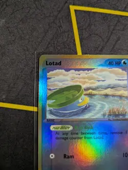 Lotad 66/100 Reverse Holo EX Sandstorm 2003 NM Pokemon Card - Image 4