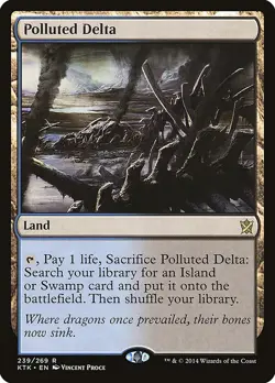 Polluted Delta - 239 / English / Lightly Played MTG - Image 1