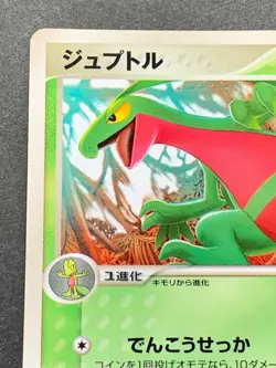 Pokemon card Grovyle 081/PCG-P Promo 2005 Japanese Pokemon TCG RARE Nintendo - Image 2