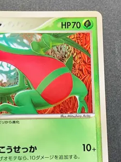 Pokemon card Grovyle 081/PCG-P Promo 2005 Japanese Pokemon TCG RARE Nintendo - Image 3
