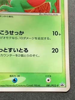 Pokemon card Grovyle 081/PCG-P Promo 2005 Japanese Pokemon TCG RARE Nintendo - Image 4