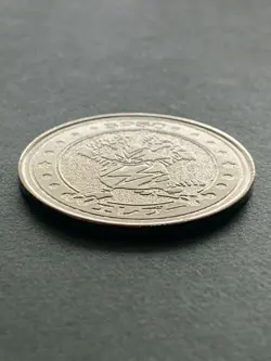 Electabuzz SP50 Medal Coin Meiji Juice Pokemon Japanese Pokemon NINTENDO Rare - Image 2