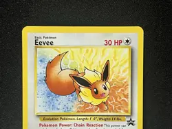 Pokemon Card Eevee Black Star JR Stamp Rally Promo - Image 2