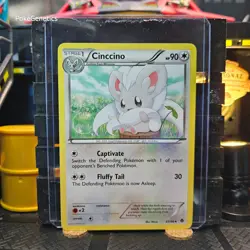 Cinccino Emerging Powers Pokemon TCG 85/98 Black & White 2 Uncommon - Image 1
