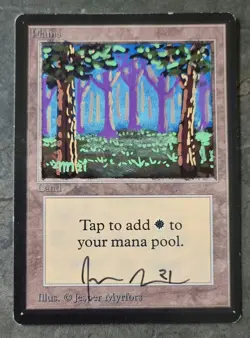 MTG Magic - Beta Plains - Altered and Signed by original artist Jesper Myrfors - Image 1
