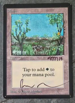 MTG Magic - Beta Plains - Altered and Signed by original artist Jesper Myrfors - Image 1