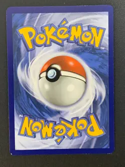 Raichu 050/203 Reverse Holo Rare Evolving Skies Pokemon Card 2021 - Image 2