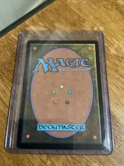 MTG Breeding Pool - Borderless Foil - Ravnica Remastered NM MTG - Image 2