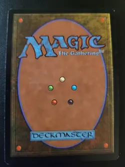 Plains 1998 Unglued UGL Full Art Basic Land LP MTG Christopher Rush - Image 2
