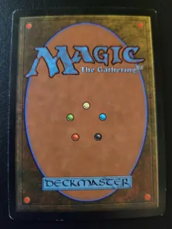 MTG Plains 1998 Unglued UGL Full Art Basic Land LP Christopher Rush MTG - Image 2