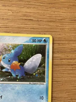 Pokemon TCG - Mudkip 018 Black Star Promo Holo - 2004 - Image 4