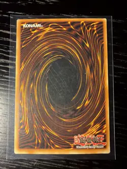 Yu-Gi-Oh! Dark Paladin (Holo) -DMG-001- Secret Rare - Limited Edition LP! - Image 4