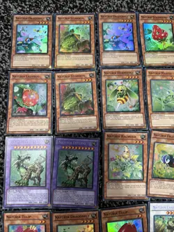 Job Lot Yugioh Cards Naturia Bundle 1st Edition Rare Etc - Image 2