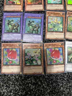 Job Lot Yugioh Cards Naturia Bundle 1st Edition Rare Etc - Image 3