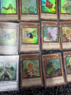 Job Lot Yugioh Cards Naturia Bundle 1st Edition Rare Etc - Image 4