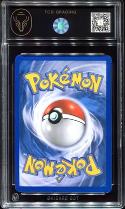 Typhlosion HGSS09 TCG 7 Black Star Promo 2010 Collector Tin Pokemon Card - Image 2