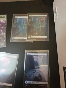 Mtg Borderless/Full Art Card Lot X 23 NM - Image 5
