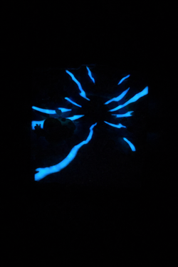 Carte 3D ShadowBox Pokemon Gengar Vmax Fusion Strike 271 / 264 fait main - Image 5