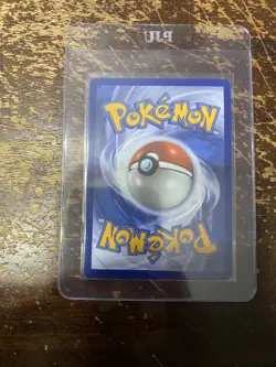Chimchar - 041 041 Holo Promo ME: Mega Evolution Promo Pokemon NM RARE HTF NEW - Image 2