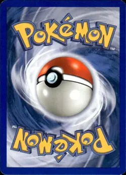 Pokemon Treecko 003 Nintendo Black Star Promos Holo Promo Near Mint - Image 2