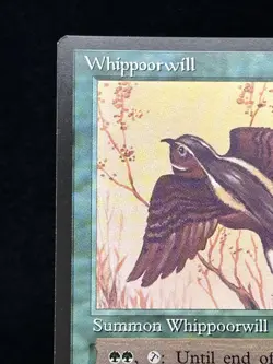 WHIPPOORWILL The Dark 1994 Magic The Gathering (MTG) TCG Uncommon 🔥MINT🔥 - Image 3