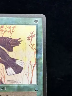 WHIPPOORWILL The Dark 1994 Magic The Gathering (MTG) TCG Uncommon 🔥MINT🔥 - Image 4