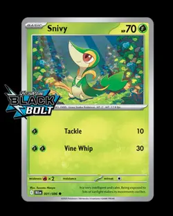 Pokemon scarlet & violet Black Bolt common, Holo, Reverse, Pokeball, Masterball - Image 4