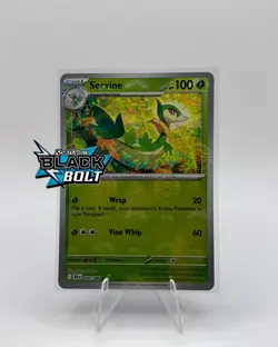 Pokemon scarlet & violet Black Bolt common, Holo, Reverse, Pokeball, Masterball - Image 5