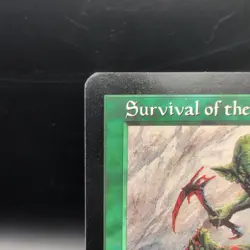 Vintage 1998 MTG Exodus Survival Of The Fittest Card Near Mint - Image 3