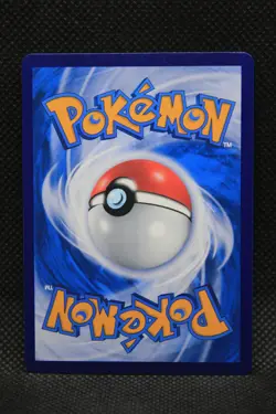 Pokemon Promo GYM Indonesia 216/SV-P Hippowdon Stamped 2024 - Image 2
