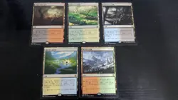 MTG Bloody Muddy Contaminated Delta Windswept Wilderness Overflowing Seaside Lan - Image 1