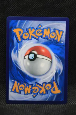 Pokemon Promo Stamped Good Day Indonesia 146/SV-P Fuecoco 2024 - Image 2