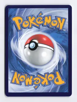 Frosmoth 004/008 Holo Foil CSGC CHINESE Pokemon Card TCG Display Sets NM - Image 2