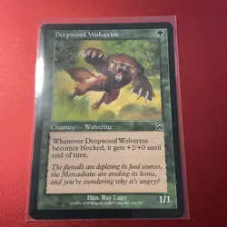 X 1 Deepwood Wolverine LP Mercadian Masques 242 MTG Magic The Gathering - Image 1