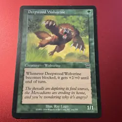 X 1 Deepwood Wolverine LP Mercadian Masques 242 MTG Magic The Gathering - Image 2