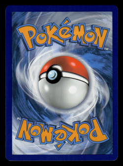 NM - Pokemon Phanpy SWSH117 Chilling Reign Blister Holo Promo - Image 2