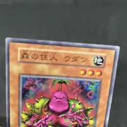 yugioh Wodan the Resident of the Forest booster3 normal japnese - Image 3