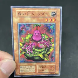 yugioh Wodan the Resident of the Forest booster3 normal japnese - Image 5