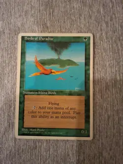 Birds of Paradise MTG Core Set 4th Edition Regular - Lightly played - Image 4