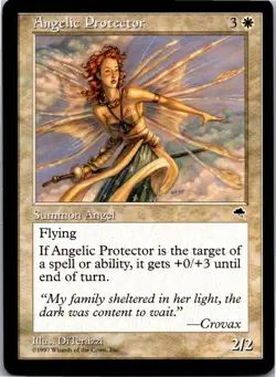 Angelic Protector U The List Reprints LP - Image 1