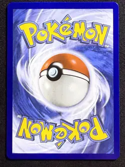 Pokemon TCG First (1st) Partner Card - Turtwig - NM+ - Image 2