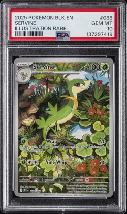 2025 POKEMON BLK EN-BLACK BOLT ILLUSTRATION RARE #088 SERVINE PSA 10 - Image 1