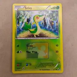 Pokemon League Promo Lot x3 Tepig, Snivy, Oshawott NEAR MINT Crosshatch Holo B&W - Image 2