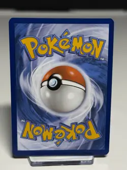 Pokemon - Charmander - 044 Promo - Scarlet and Violet - NM - PUSVP044 - Image 2
