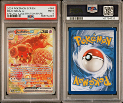 DACHSBUN ex 2024 Pokemon SCR EN-Stellar Crown Special Illustration Rare PSA 9 - Image 1