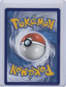 Pikachu Holo Promo SV: Scarlet & Violet Promo Cards 027 NM - Image 2
